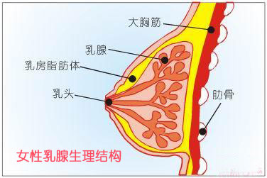 乳房肿块,是病吗?你怎么看?