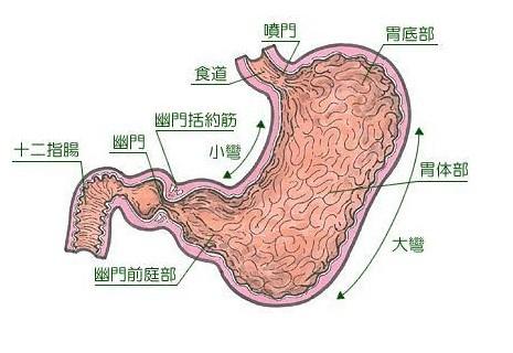 胃寒的人口臭怎么办(3)